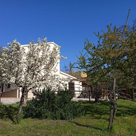 Sotto L'Ulivo Bed and Breakfast Mondavio Buitenkant foto