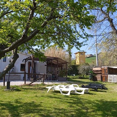 Sotto L'Ulivo Bed and Breakfast Mondavio Buitenkant foto