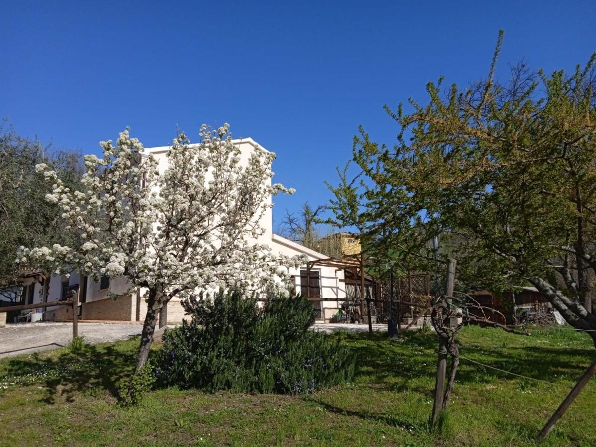 Sotto L'Ulivo Bed and Breakfast Mondavio Buitenkant foto