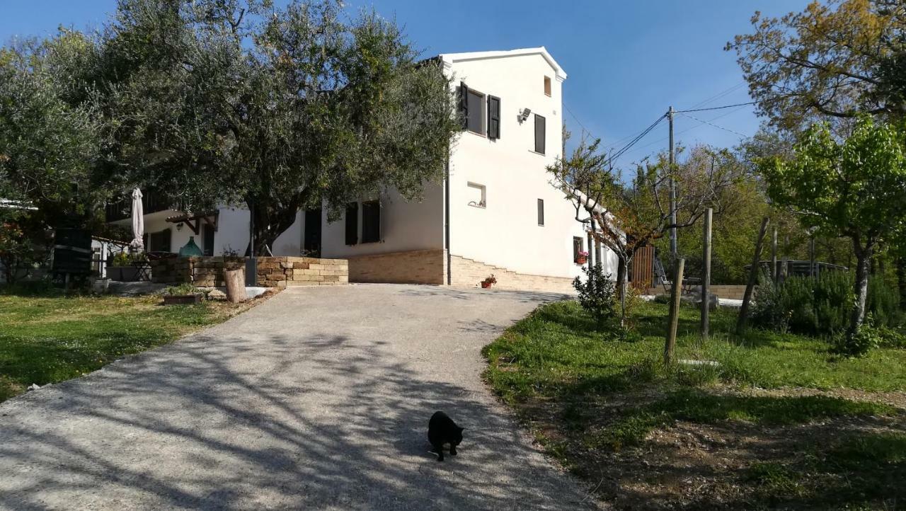 Sotto L'Ulivo Bed and Breakfast Mondavio Buitenkant foto