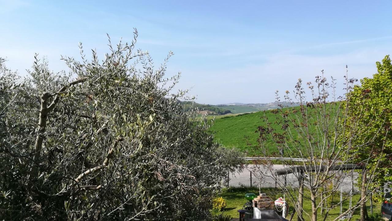 Sotto L'Ulivo Bed and Breakfast Mondavio Buitenkant foto