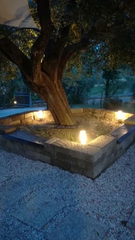 Sotto L'Ulivo Bed and Breakfast Mondavio Buitenkant foto